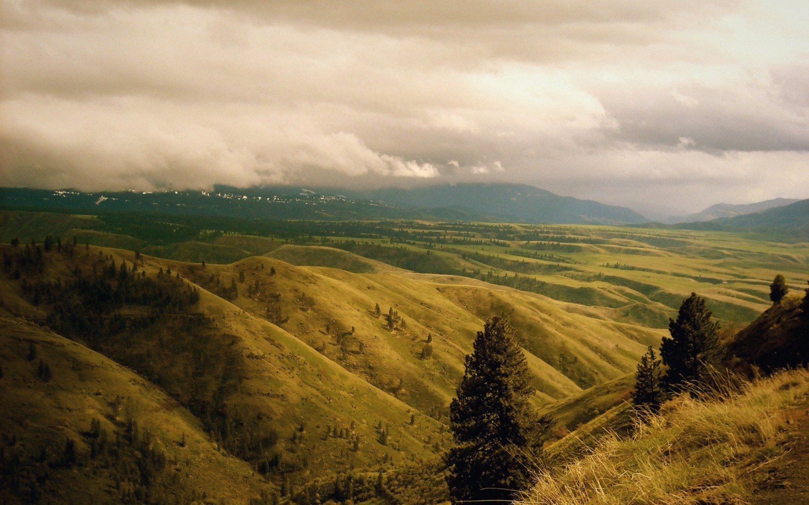How Idaho's Political Landscape Took Shape